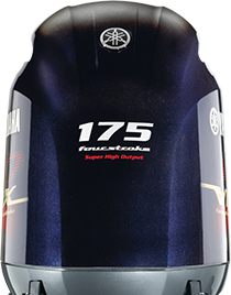 SHO 175